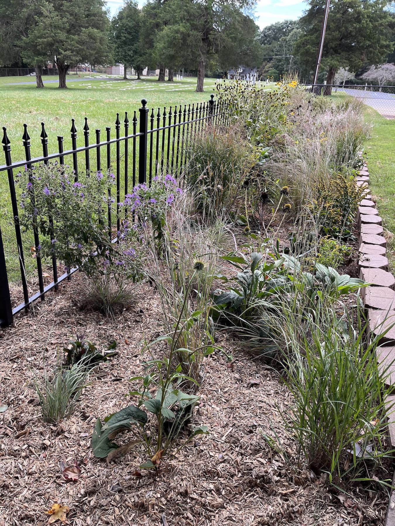 Macedonia Moravian Preschool pollinator garden. Grant. Environmental Field of Interest.